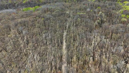 TBD Bear Road, Cushing, MN 56443
