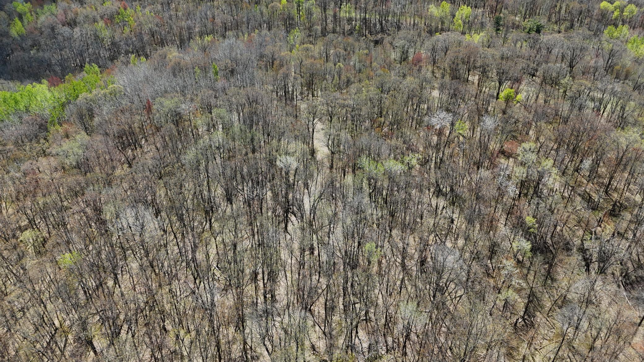 DJI_20260513133918_0048_D.JPG