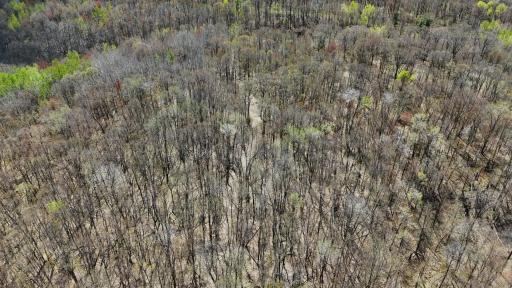 TBD Bear Road, Cushing, MN 56443
