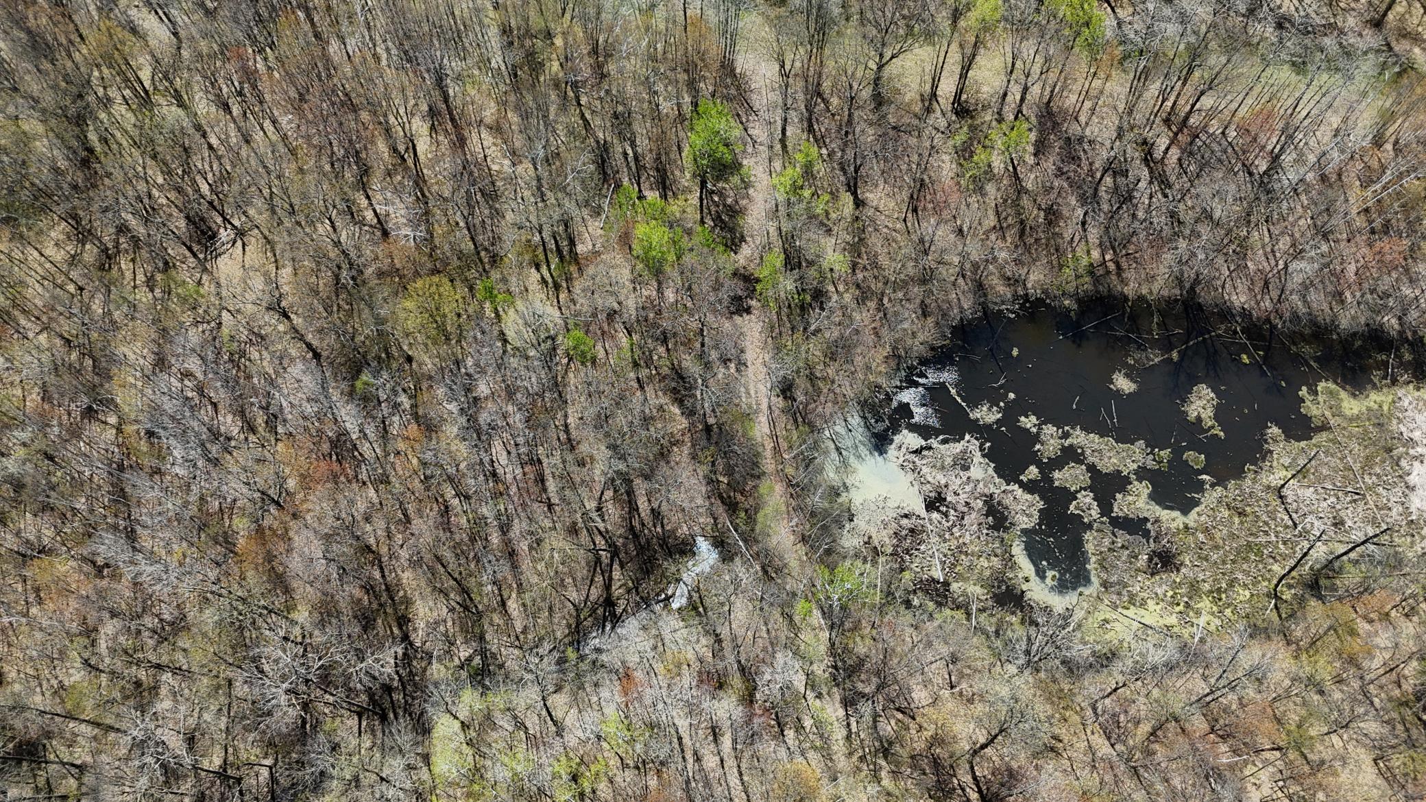 DJI_20260513133940_0049_D.JPG
