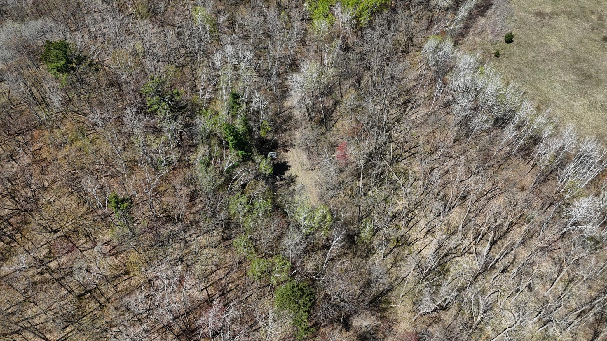 DJI_20260513135914_0084_D.JPG