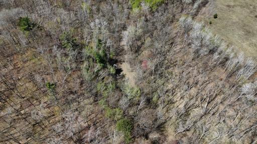 TBD Bear Road, Cushing, MN 56443