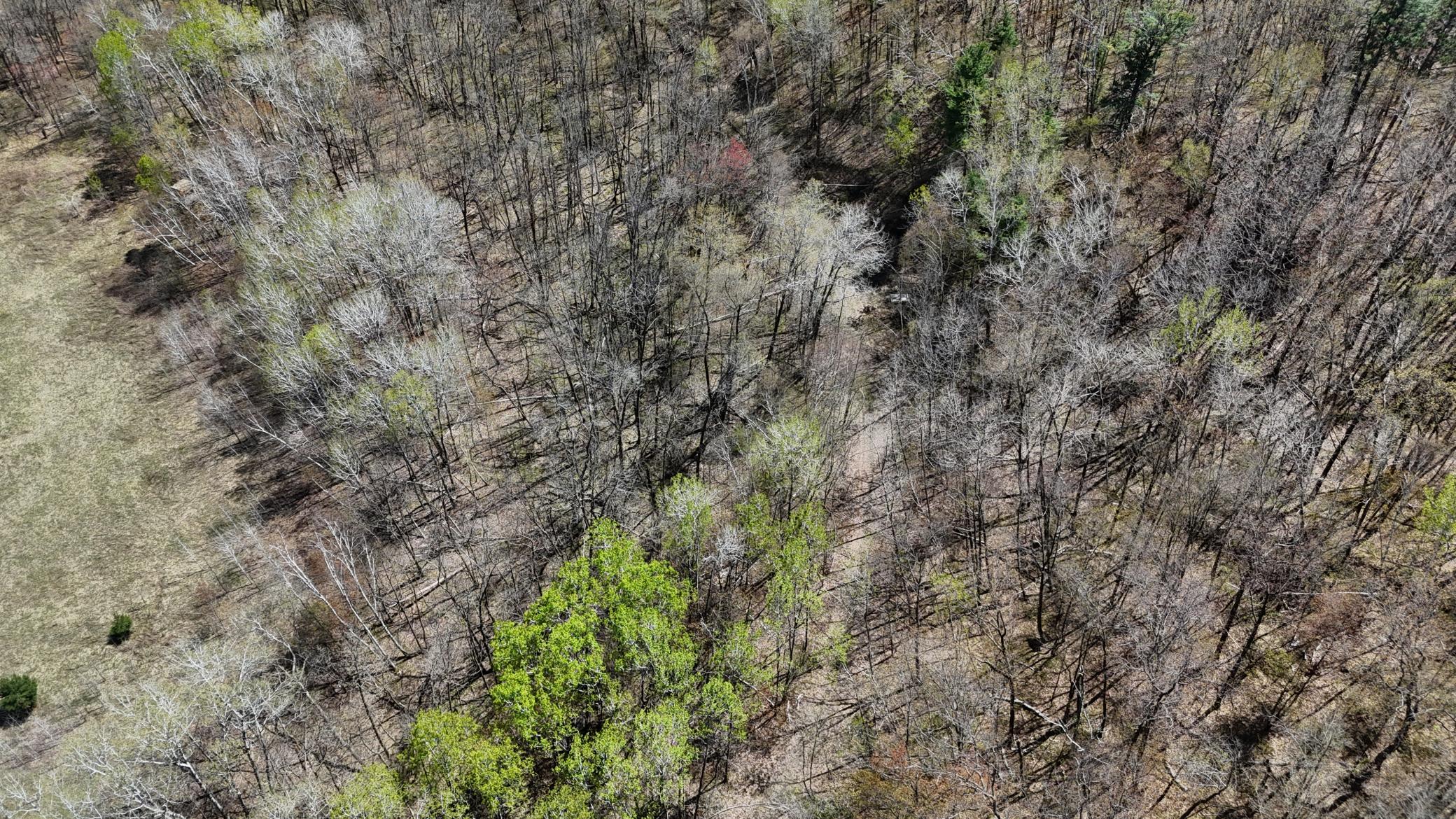 DJI_20260513140210_0090_D.JPG