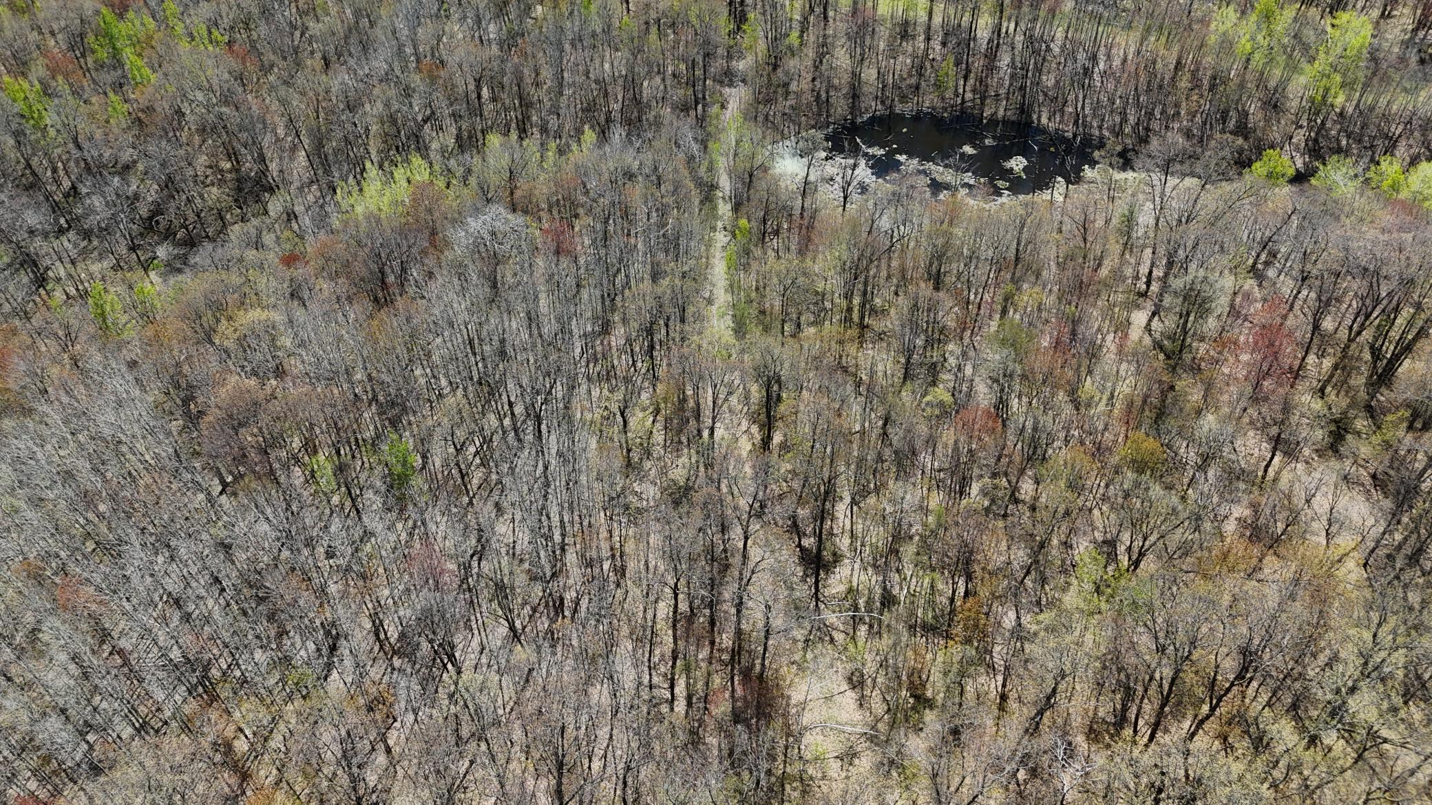 DJI_20260513135528_0077_D.JPG