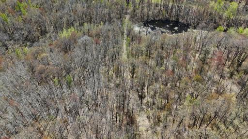 TBD Bear Road, Cushing, MN 56443
