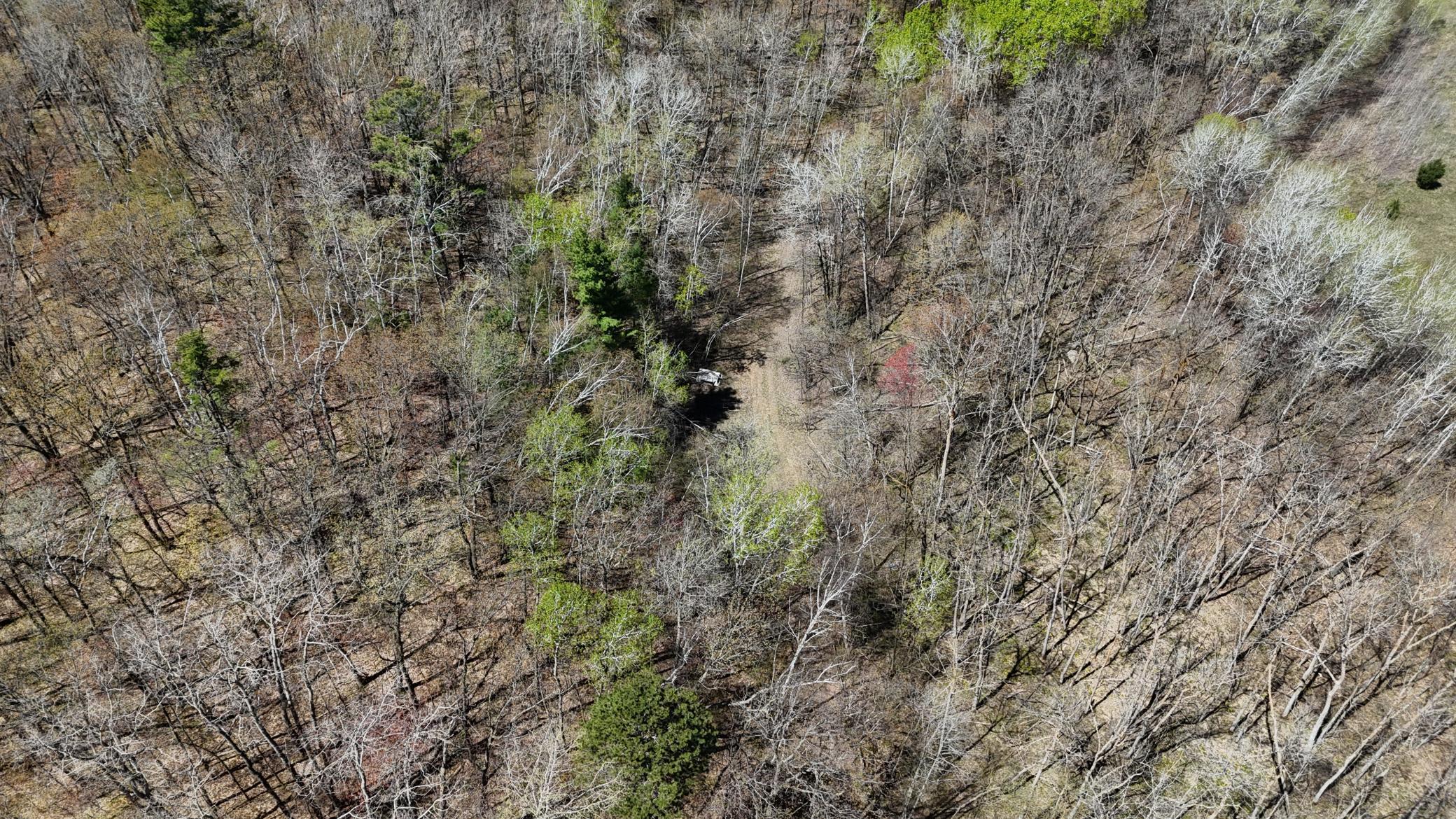 DJI_20260513134205_0054_D.JPG