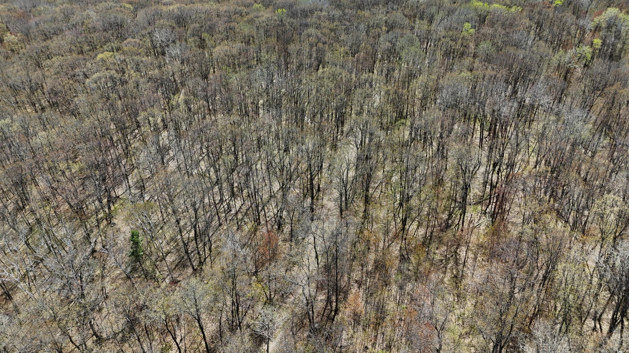 DJI_20260513134620_0062_D.JPG