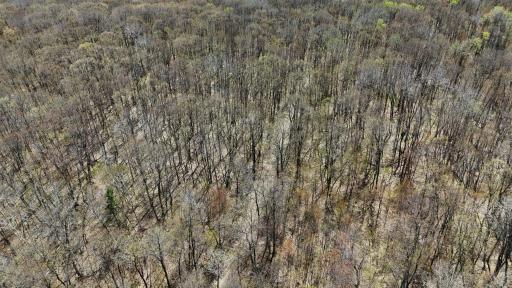 TBD Bear Road, Cushing, MN 56443
