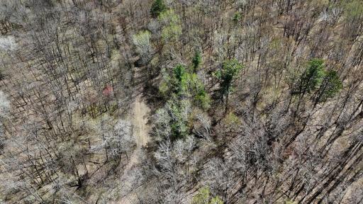 TBD Bear Road, Cushing, MN 56443