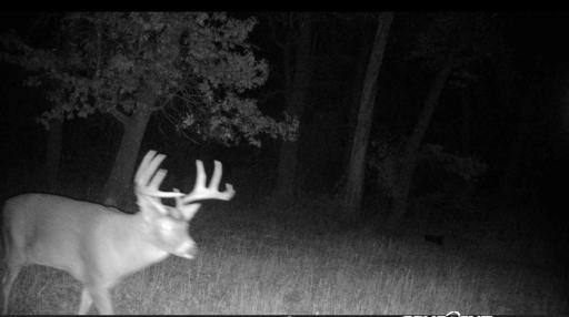 TBD Bear Road, Cushing, MN 56443