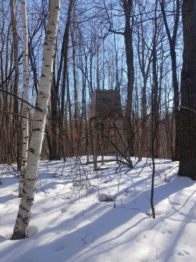TBD Bear Road, Cushing, MN 56443