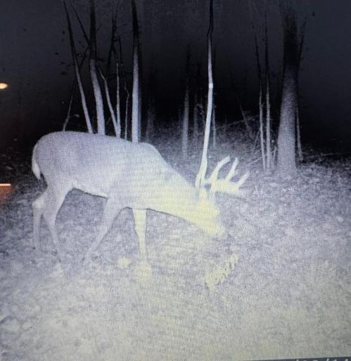 TBD Bear Road, Cushing, MN 56443