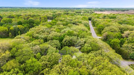 17187 166th Street SE, Big Lake, MN 55309