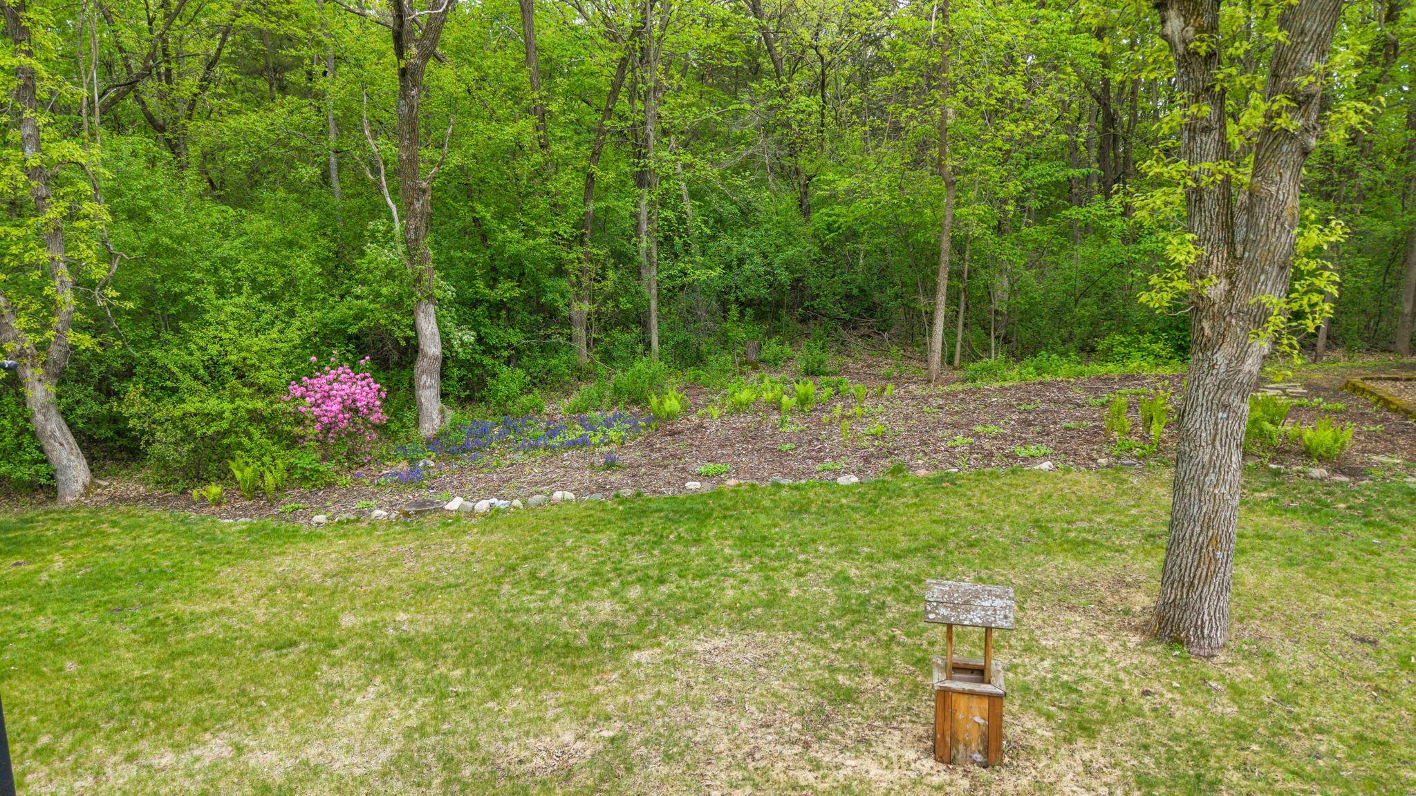 Perenial flowers all over