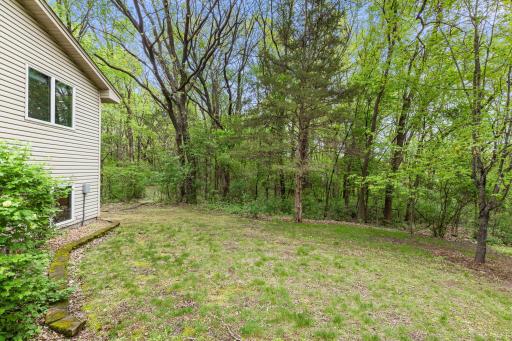 17187 166th Street SE, Big Lake, MN 55309