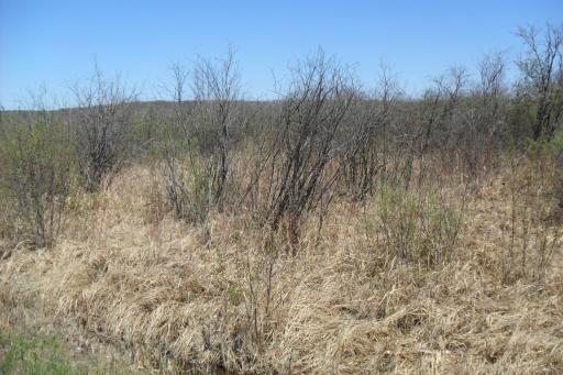 35xxx 100th Ave., Onamia, MN 56359