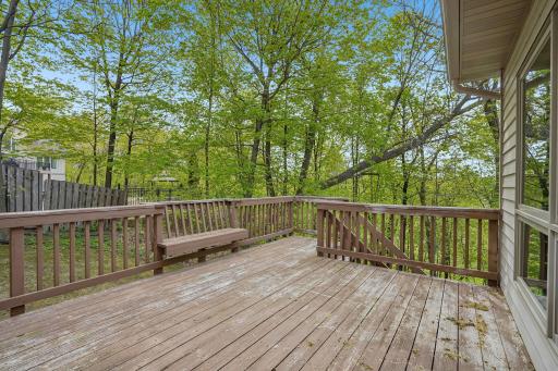 70-web-or-mls-Shenandoah Ln-S1205-062.jpg