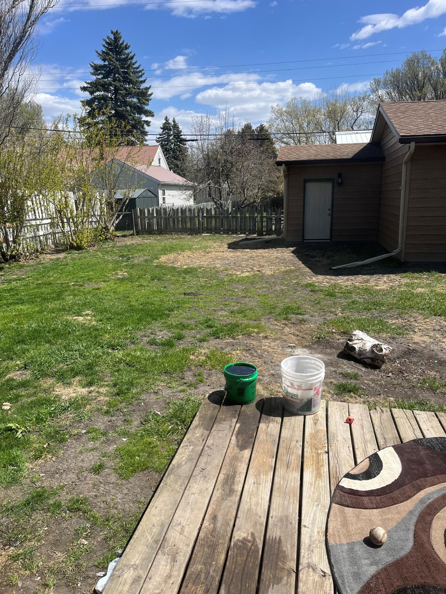 716 backyard