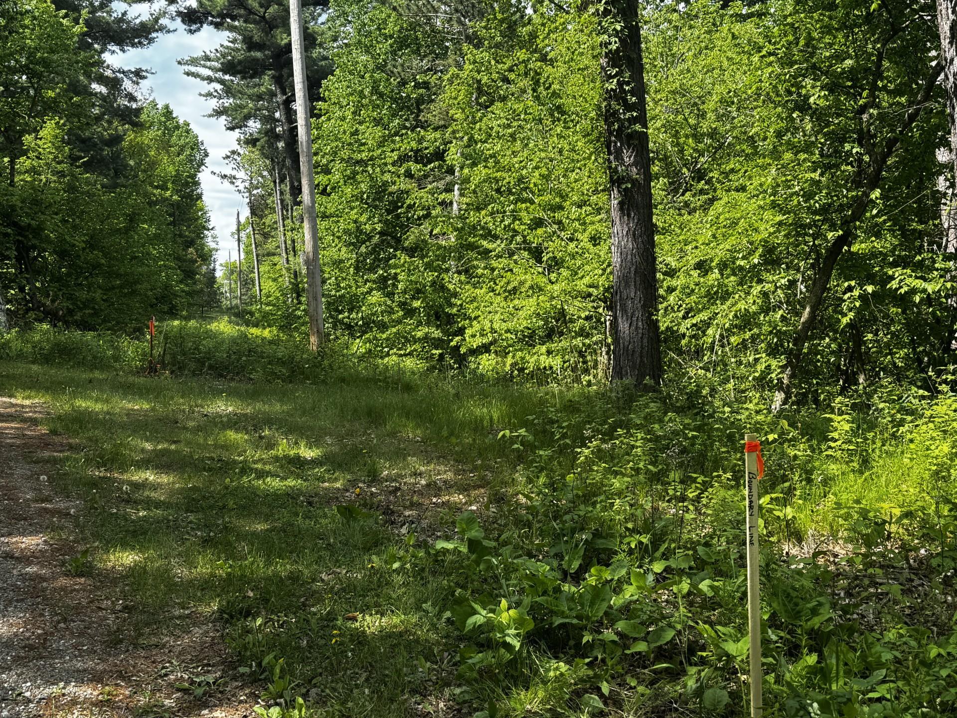 Survey stakes in place for both parcels