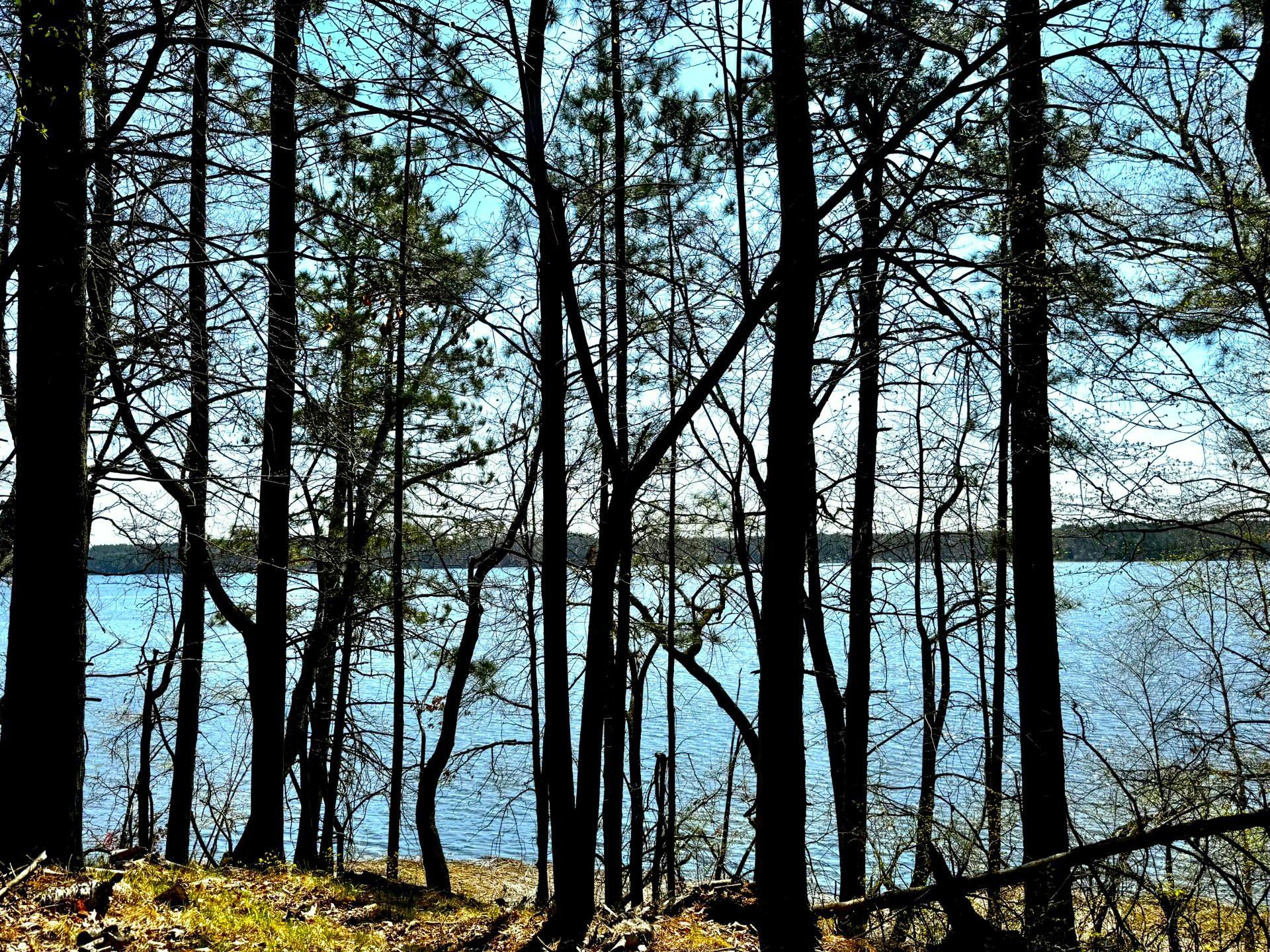 Welcome to the lake!