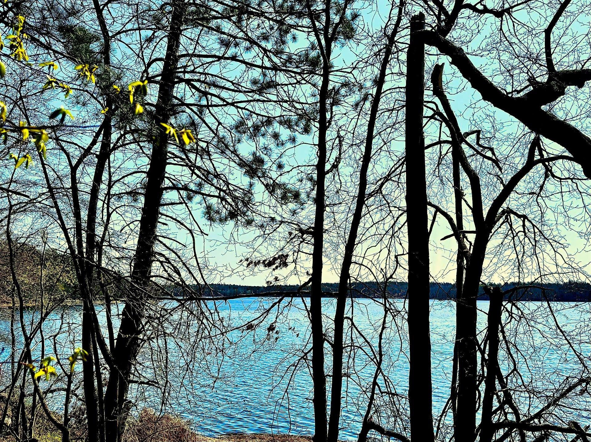 150' of lakeshore on South Long Lake