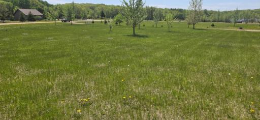 TBD Meadows Circle, Audubon, MN 56511