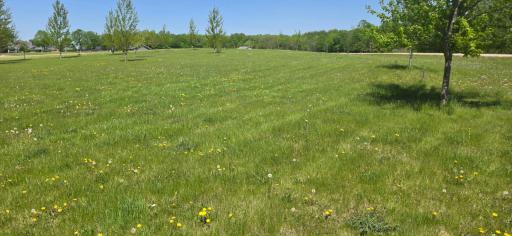 TBD Meadows Circle, Audubon, MN 56511