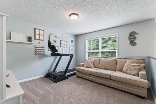 4225 Kaelin Avenue NE, Saint Michael, MN 55376