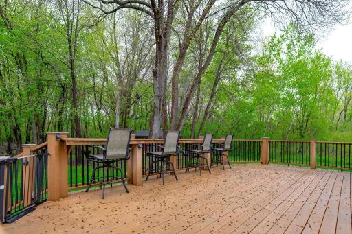 38177 Twin Oaks Drive, Avon, MN 56310