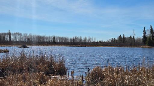 TBD 43 Lummi Road, Orr, MN 55771