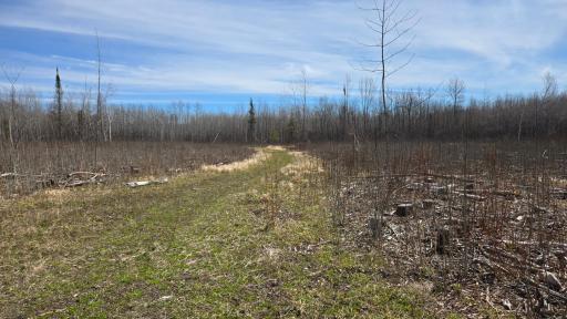 TBD 43 Lummi Road, Orr, MN 55771