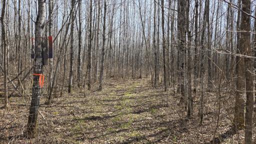 TBD 43 Lummi Road, Orr, MN 55771