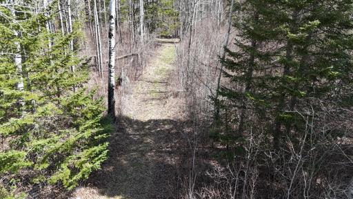 TBD 43 Lummi Road, Orr, MN 55771