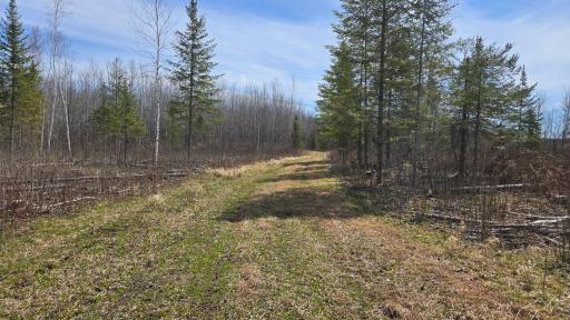 TBD 43 Lummi Road, Orr, MN 55771