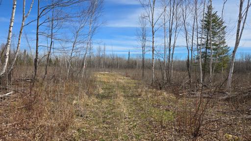TBD 43 Lummi Road, Orr, MN 55771