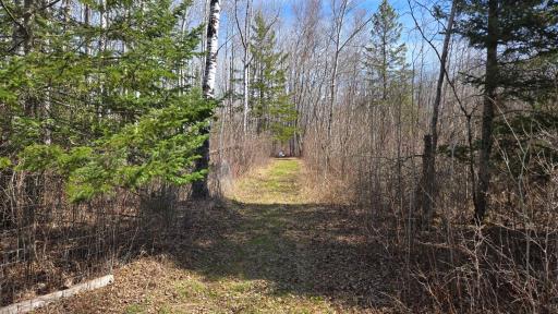 TBD 43 Lummi Road, Orr, MN 55771