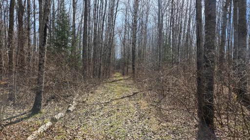 TBD 43 Lummi Road, Orr, MN 55771