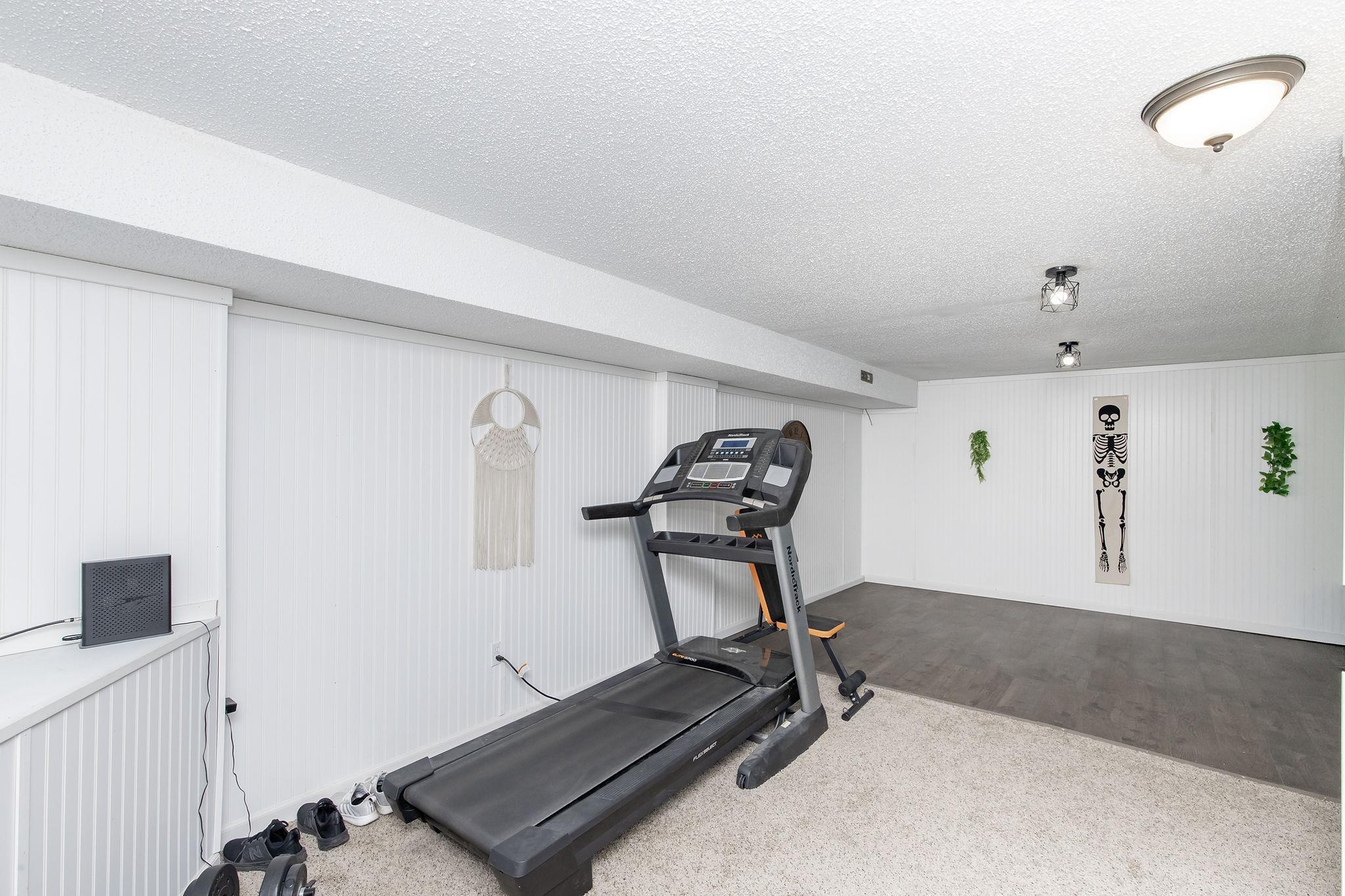 Basement Family Room