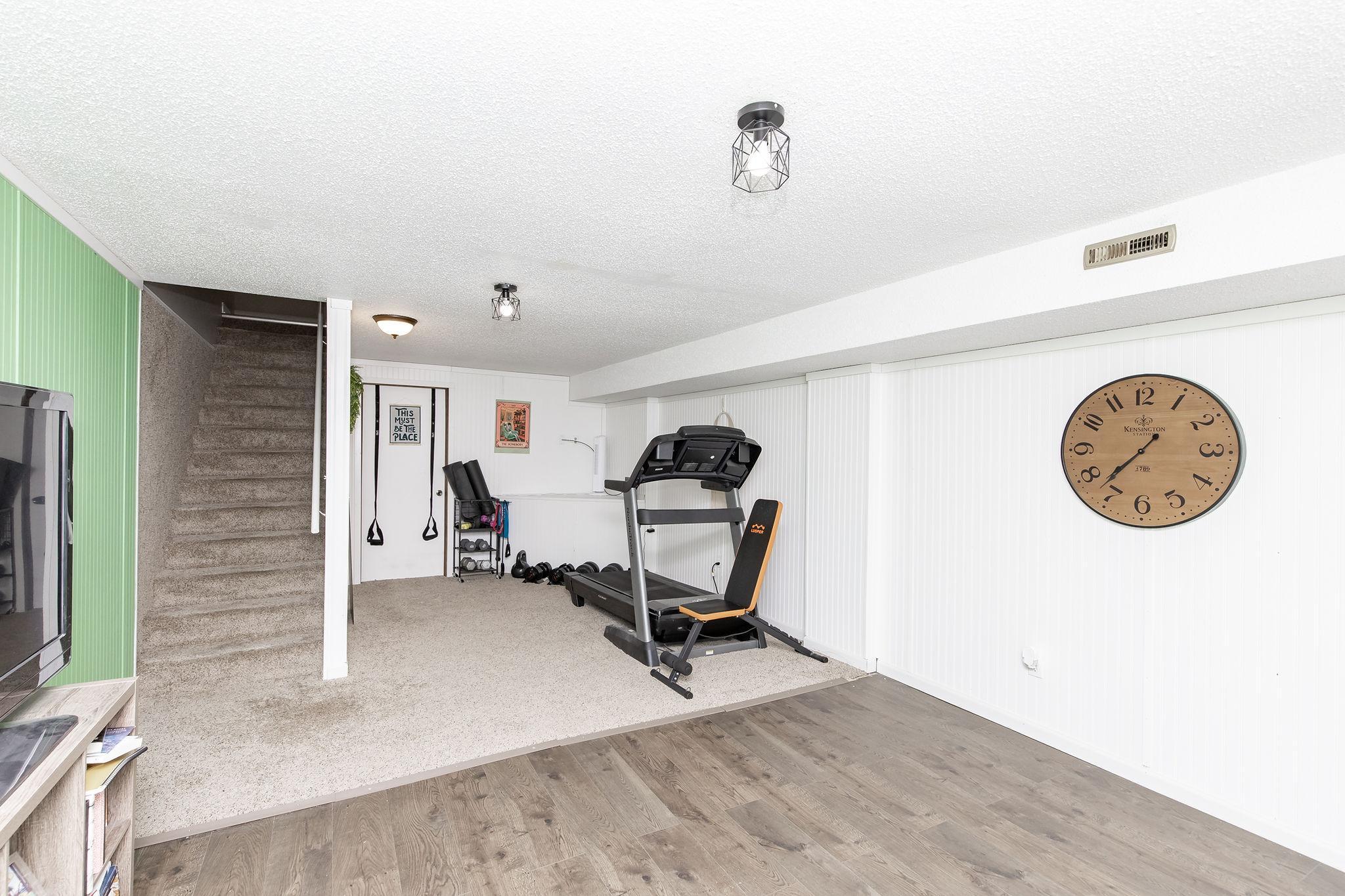 Basement Family Room
