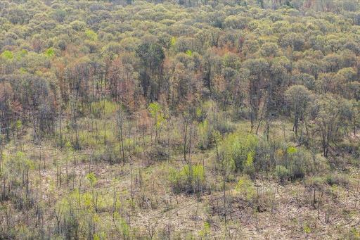 TBD, LOT 3 County Rd 3, Nisswa, MN 56468