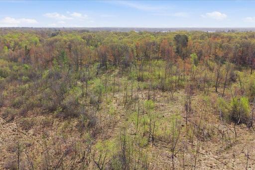 TBD, LOT 3 County Rd 3, Nisswa, MN 56468
