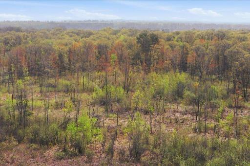TBD, LOT 3 County Rd 3, Nisswa, MN 56468
