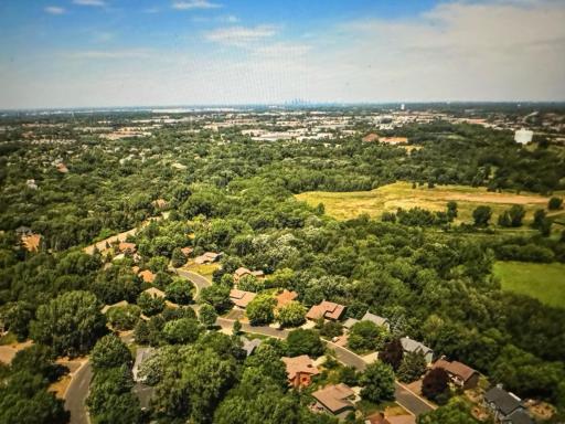 Heavily wooded neighborhood