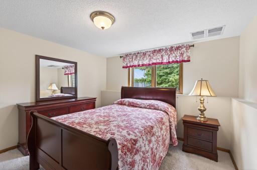 Lower level 4th bedroom