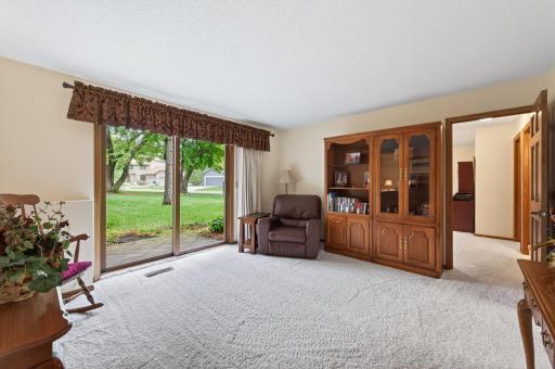 Lower level family room is a walk-out