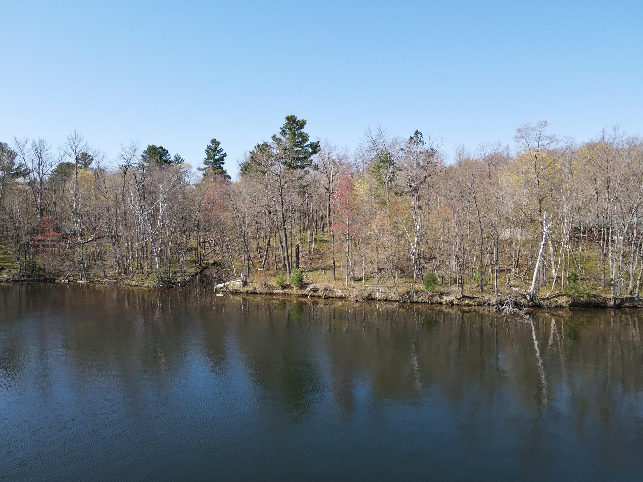 Wooded lake shore