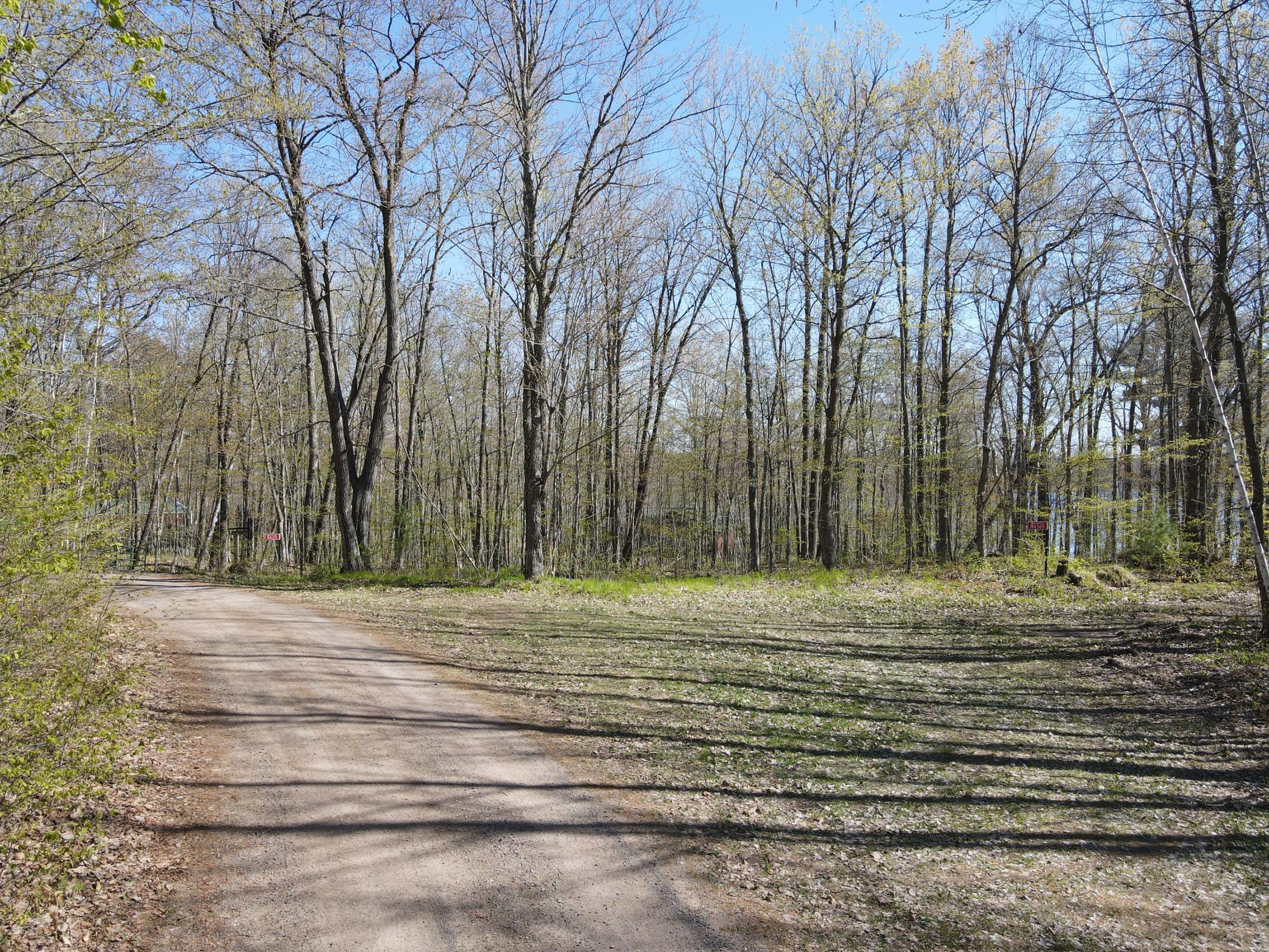 Road view