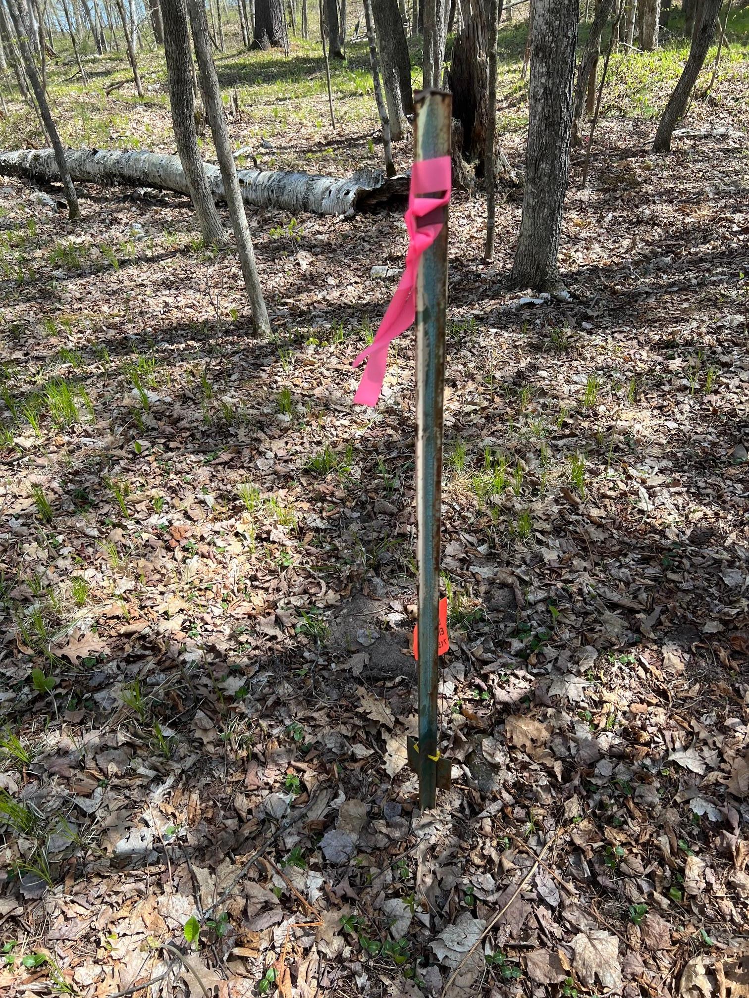 Survey Stake