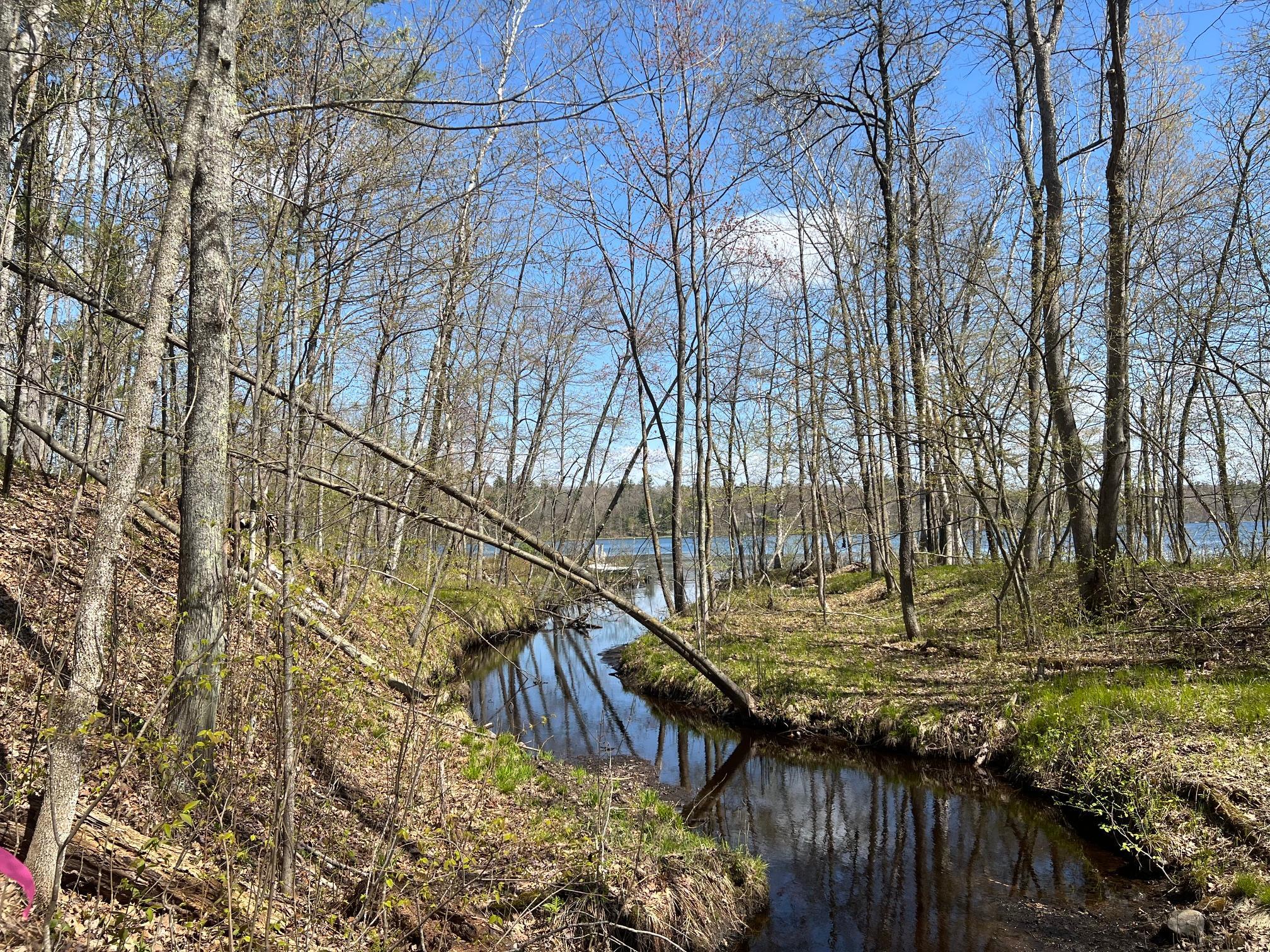 Flowing creek on NE corner of lot