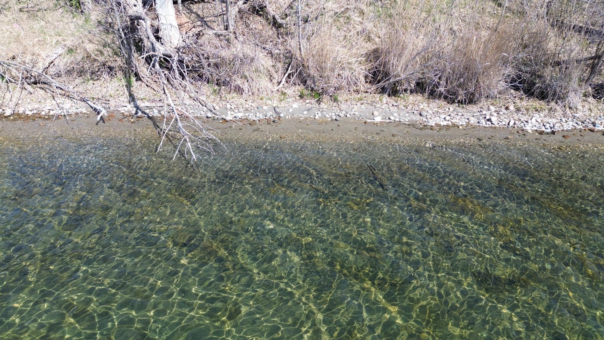 SHORELINE 4.JPG